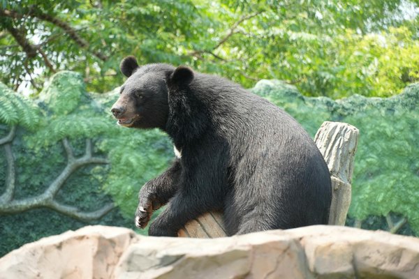 Découvrez le camping étoilé au cœur des Écrins !